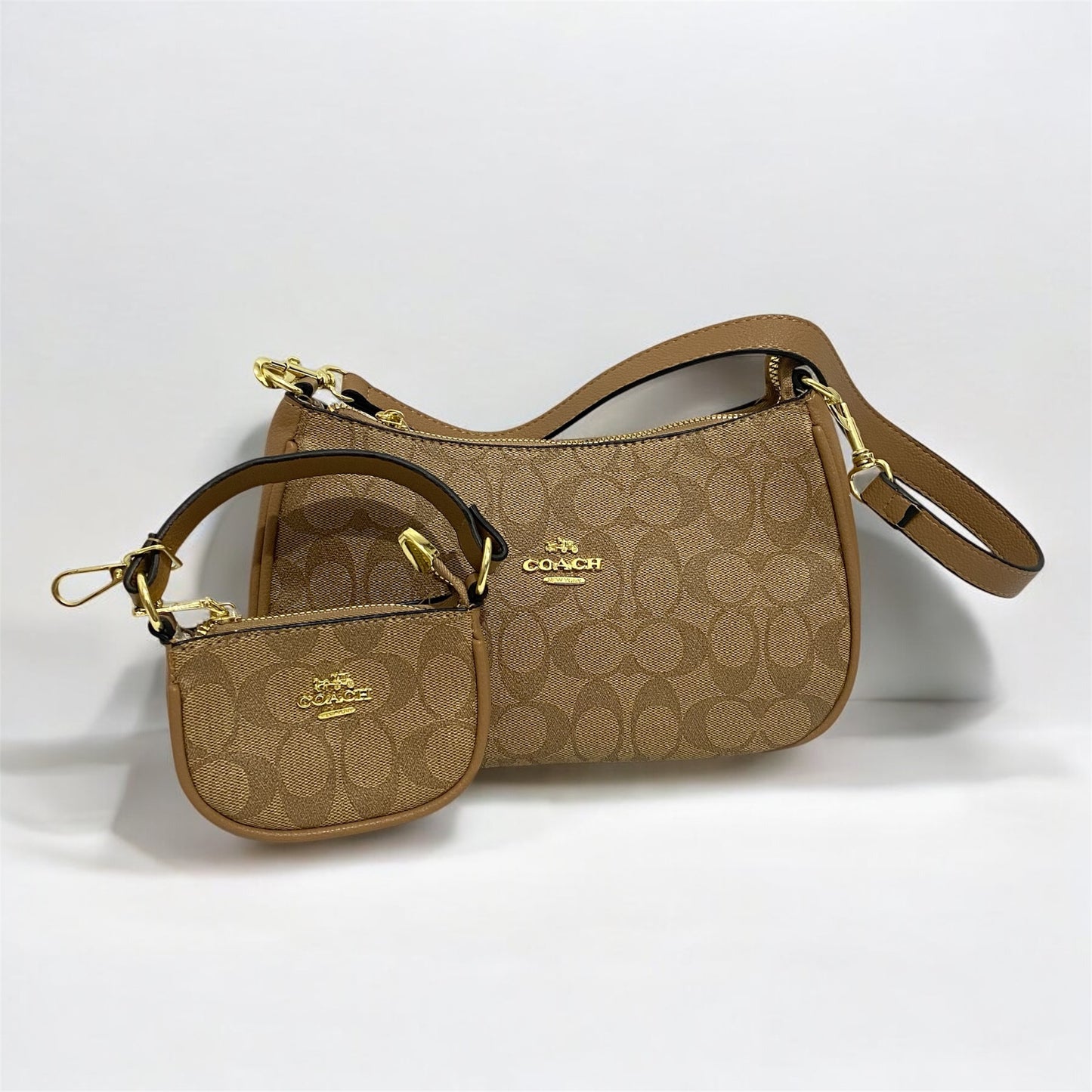 Teri tipo Coach + mini Teri